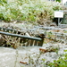 1996.08  Sandgate Flood (56).JPG